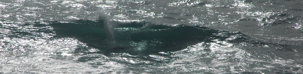 Click here to return to the Home Page. Freezes.com, Site Header